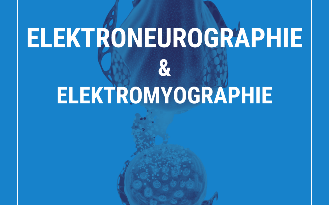 Online-Kurs: Elektroneurographie und Elektromyographie – mit Prof. Dr. Christian Bischoff (Beginn: 08.01.25)