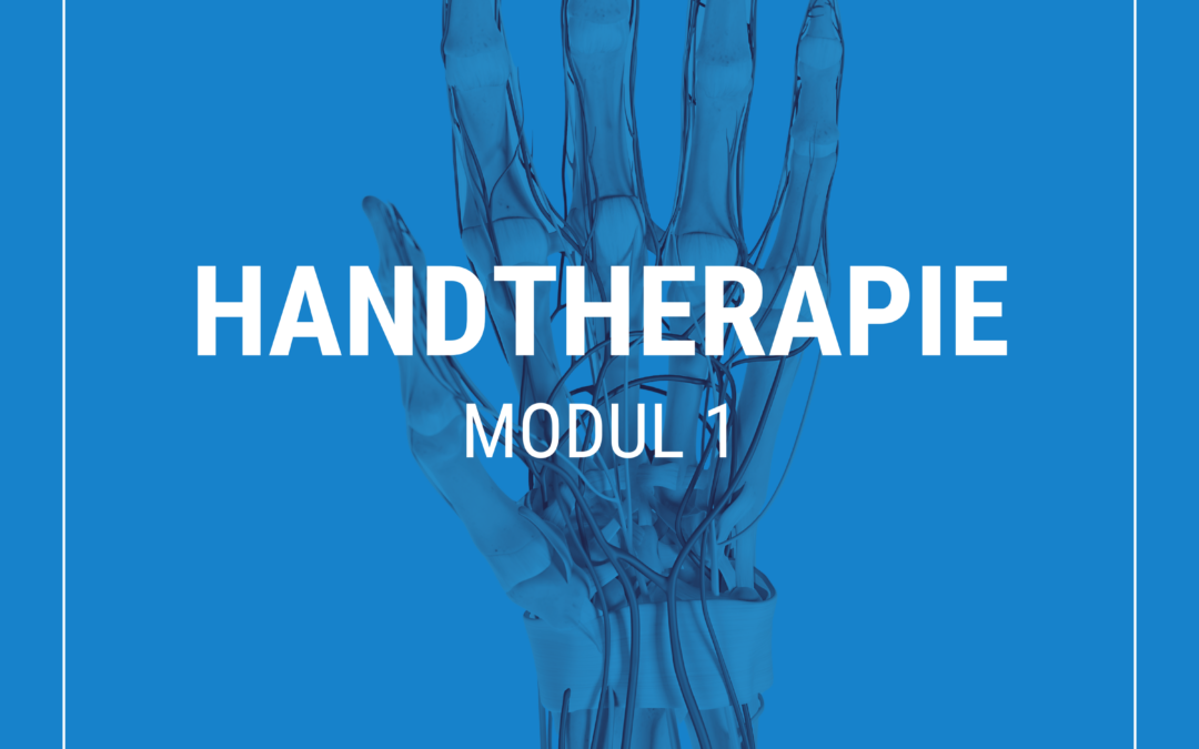 Live Online-Seminar: „Handtherapie: Modul 1“ – am 26.10.24 mit Lina Bücker