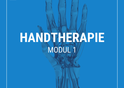 Live Online-Seminar: „Handtherapie: Modul 1“ – am 26.10.24 mit Lina Bücker