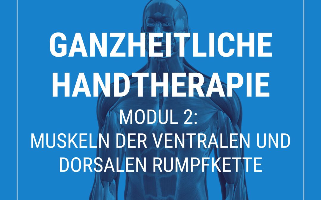 Ganzheitliche Handtherapie – Modul 2: Muskeln der ventralen und dorsalen Rumpfkette