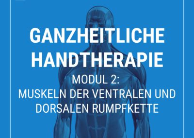 Ganzheitliche Handtherapie – Modul 2: Muskeln der ventralen und dorsalen Rumpfkette